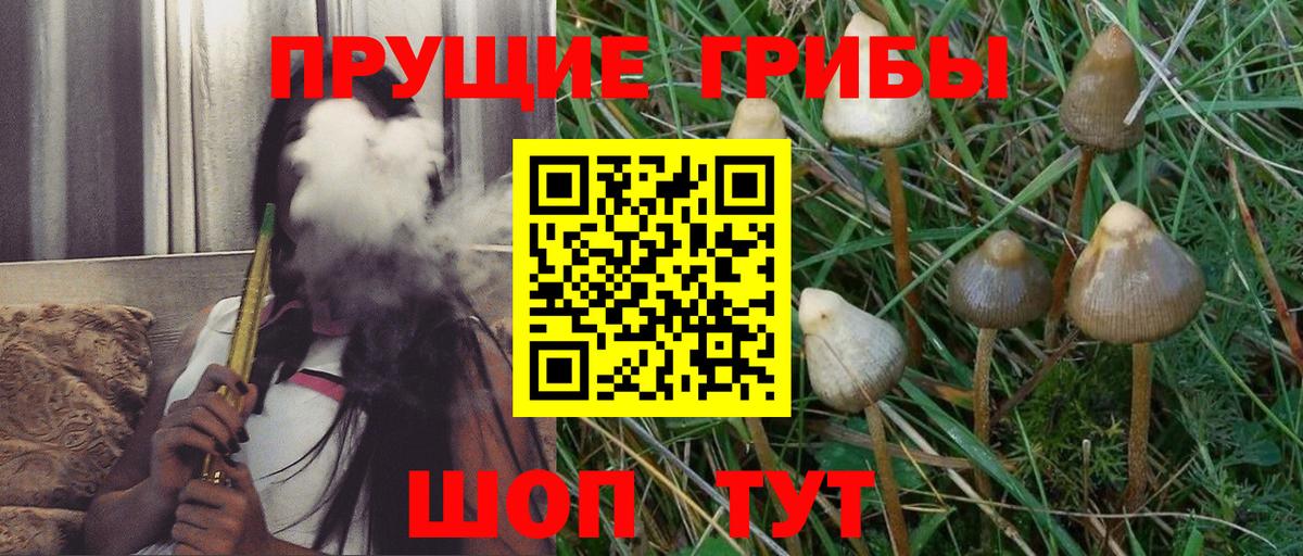 Галлюциногенные грибы мухоморы Екатеринбург